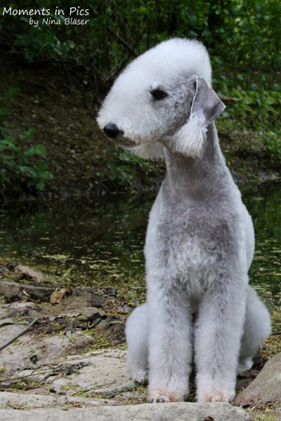 2010-05-01 Svet und Aveline (33).JPG